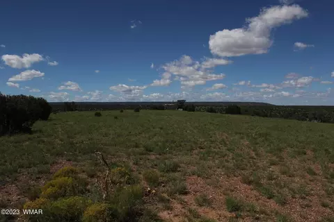 17 County Rd, Concho, AZ 85924 photo 13