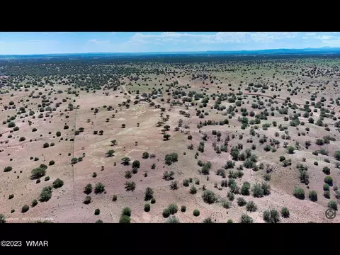 17 County Rd, Concho, AZ 85924 photo 48