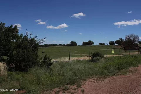 17 County Rd, Concho, AZ 85924 photo 3