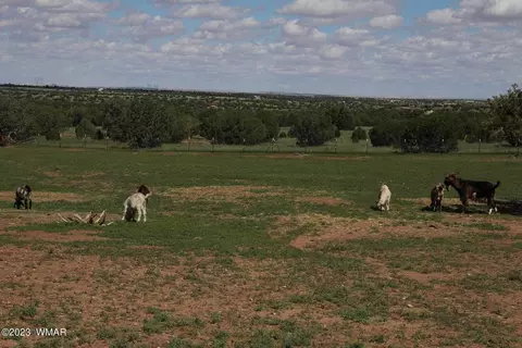 17 County Rd, Concho, AZ 85924 photo 16