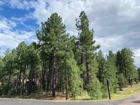 4051 W Acer Ln, Show Low, AZ 85901