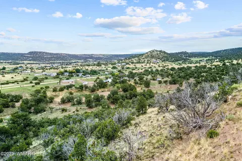 313 E Apache Dr, Eagar, AZ 85925 photo 10