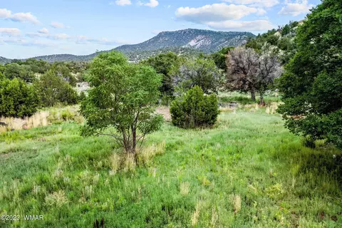 313 E Apache Dr, Eagar, AZ 85925 photo 2