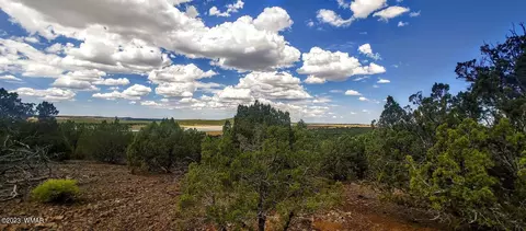 25 County Rd 8145, Concho, AZ 85924 photo 10