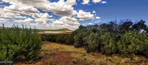 25 County Rd 8145, Concho, AZ 85924 photo 2