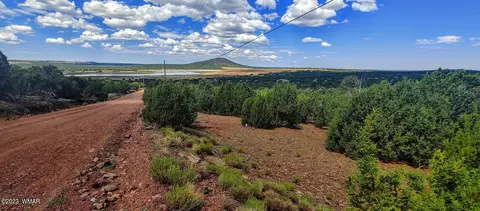 25 County Rd 8145, Concho, AZ 85924 photo 3