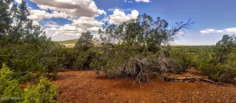 25 County Rd 8145, Concho, AZ 85924 photo 8