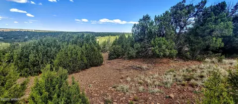 25 County Rd 8145, Concho, AZ 85924 photo 4