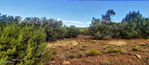 25 County Rd 8145, Concho, AZ 85924 photo 5
