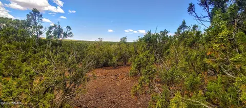 25 County Rd 8145, Concho, AZ 85924 photo 7