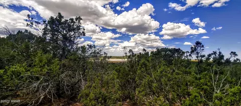 25 County Rd 8145, Concho, AZ 85924 photo 9