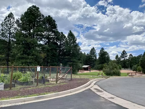 4530 Tatanka Loop #B2, Show Low, AZ 85901 photo 18