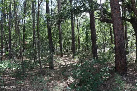 tbd Gobbler Peak, Pinetop, AZ 85935