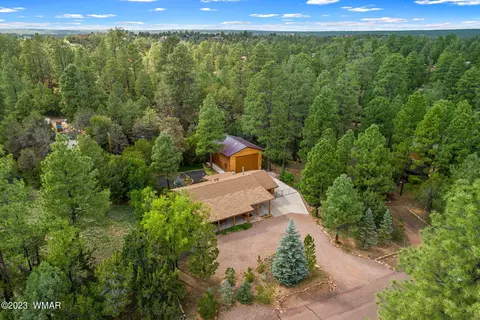 3304 Pine Ridge Dr, Overgaard, AZ 85933 photo 27