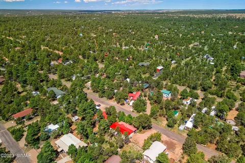 2185 Western Star Dr, Overgaard, AZ 85933 photo 29