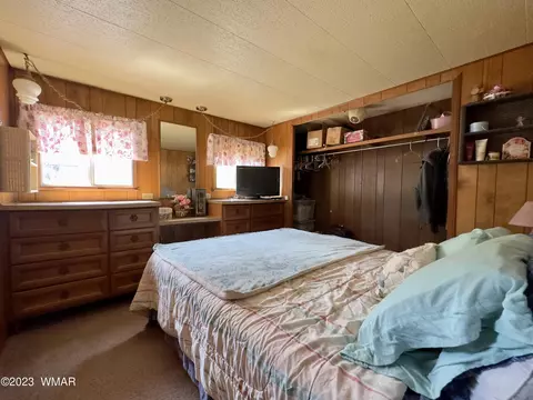 2165 Chevelon Rd, Overgaard, AZ 85933 photo 10