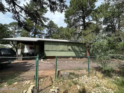 2165 Chevelon Rd, Overgaard, AZ 85933 photo 14