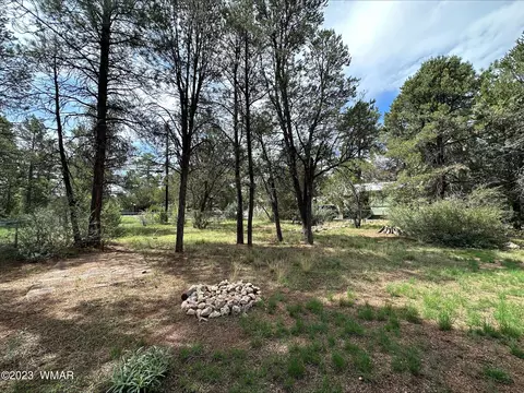 2165 Chevelon Rd, Overgaard, AZ 85933 photo 19