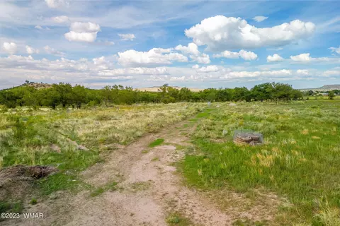 00 E 3rd St 1597 Acres, Eagar, AZ 85925 photo 5
