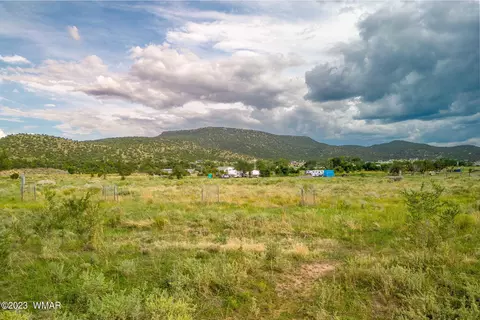 00 E 3rd St 1597 Acres, Eagar, AZ 85925 photo 6