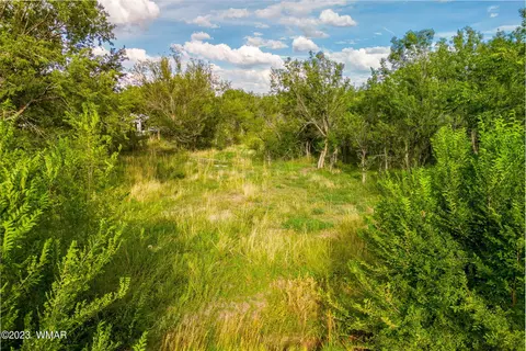 00 E 3rd St 1597 Acres, Eagar, AZ 85925 photo 4