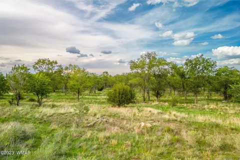 00 E 3rd St 1597 Acres, Eagar, AZ 85925 photo 10