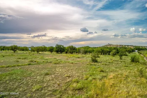 00 E 3rd St 1597 Acres, Eagar, AZ 85925 photo 9