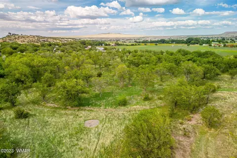 00 E 3rd St 1597 Acres, Eagar, AZ 85925 photo 7