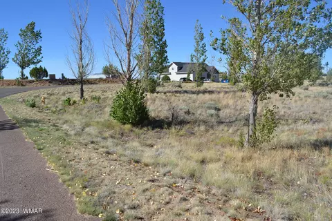 1350 S Meadow Way, Taylor, AZ 85939