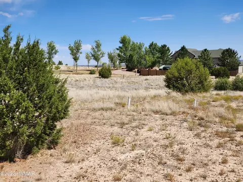 lot28 Apple Cir, Taylor, AZ 85939