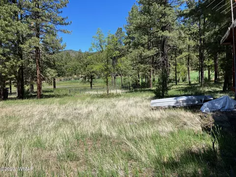 42488 Us #180, Alpine, AZ 85920 photo 6