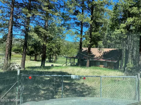 42488 Us #180, Alpine, AZ 85920 photo 2