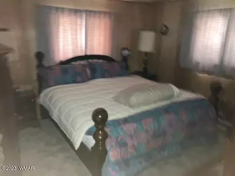 42488 Us #180, Alpine, AZ 85920 photo 13
