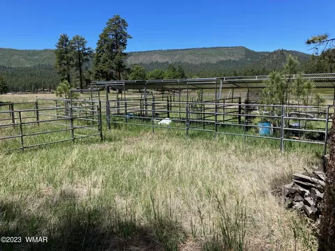 42488 Us #180, Alpine, AZ 85920 photo 4