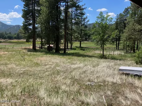 42488 Us #180, Alpine, AZ 85920 photo 7