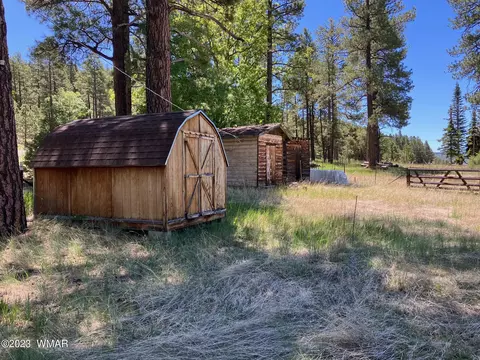 42488 Us #180, Alpine, AZ 85920 photo 5
