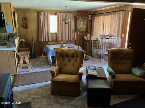 42488 Us #180, Alpine, AZ 85920 photo 8