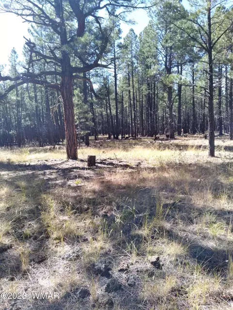 13 33 Acres In Lakeside, Lakeside, AZ 85929