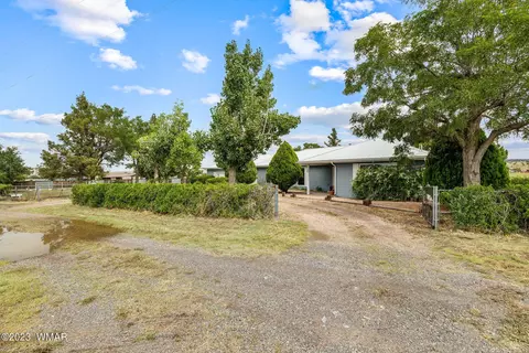 Other - 1100 S Highway 180, Springerville, AZ 85938 photo 3 of 9
