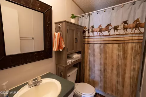 95 N 27th East St, Snowflake, AZ 85937 photo 17