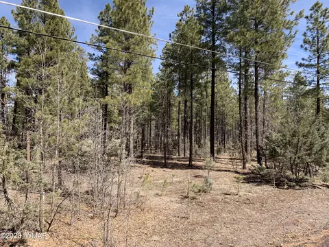 tbd Hilltop Drive Parcel #3, Lakeside, AZ 85929