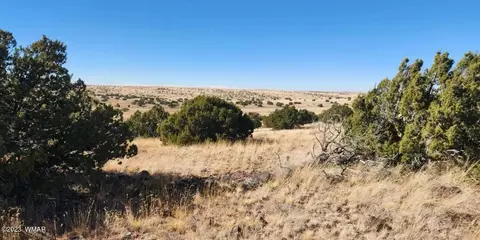 tbd Fox Ln, Concho, AZ 85924 photo 12