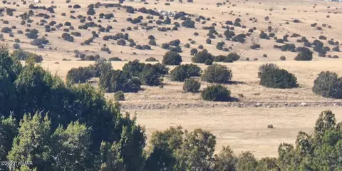 tbd Fox Ln, Concho, AZ 85924 photo 5
