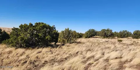 tbd Fox Ln, Concho, AZ 85924 photo 7
