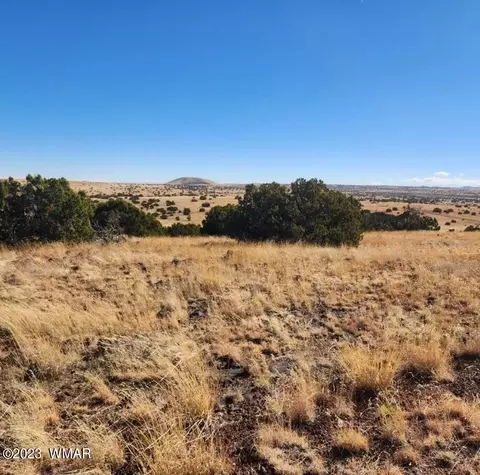 tbd Fox Ln, Concho, AZ 85924 photo 8