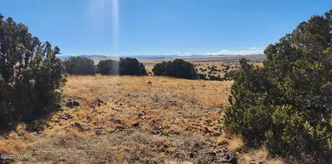 tbd Fox Ln, Concho, AZ 85924 photo 6