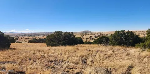 tbd Fox Ln, Concho, AZ 85924 photo 14