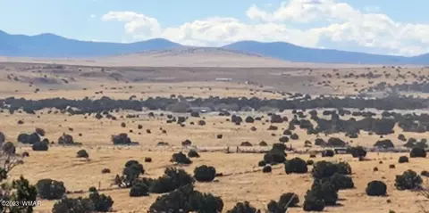 tbd Fox Ln, Concho, AZ 85924 photo 9