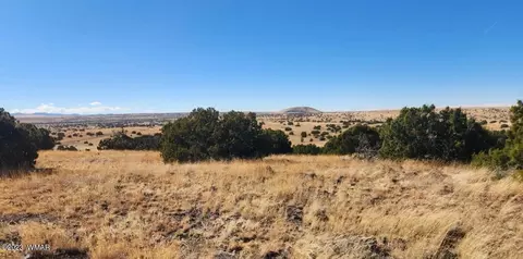 tbd Fox Ln, Concho, AZ 85924