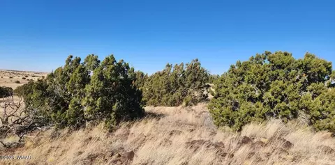 tbd Fox Ln, Concho, AZ 85924 photo 13